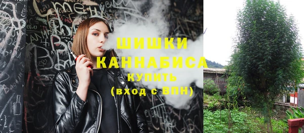 крисы Кинешма