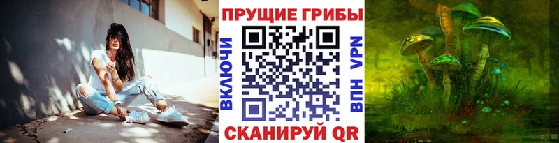 Купить закладки  Хабаровск  Псилоцибиновые грибы Psilocybine cubensis 
